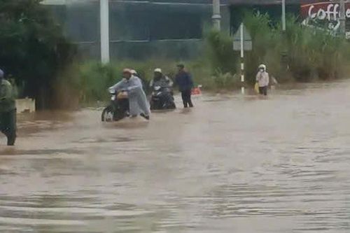 Lâm Đồng: Đề nghị các địa phương chủ động ứng phó với thiên tai