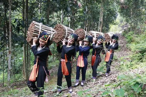 Việt Nam bán 1 loại gia vị thu về 210 triệu USD từ đầu năm