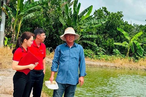 Kiến tạo hệ sinh thái tín dụng 'tam nông' bền vững