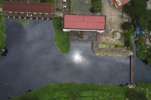 Muốn cứu sông hồ ô nhiễm, cần quản lý tổng thể