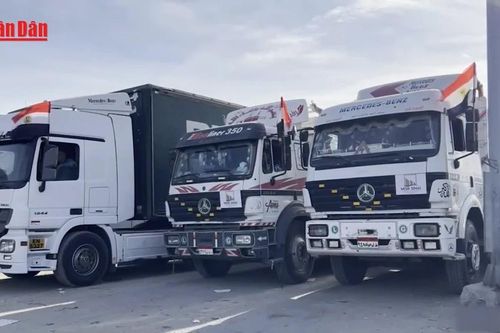Ai Cập không để người Palestine bị di dời qua cửa khẩu Rafah