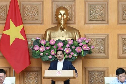 Đề xuất các chính sách phù hợp phục vụ chỉ đạo, điều hành linh hoạt, hiệu quả