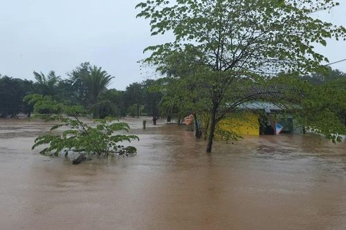 Đắk Lắk: Mưa lớn gây ngập, thiệt hại nhiều diện tích cây trồng