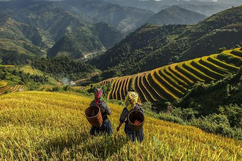 Sa Pa lọt top điểm đến miền núi được ưa chuộng nhất châu Á
