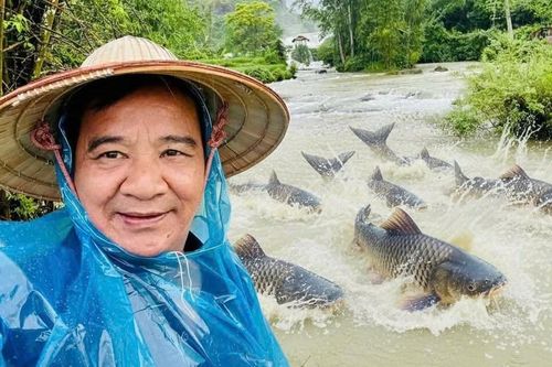 NSƯT Quang Tèo trải nghiệm suối cá 'lạ', Trọng Tấn thu hoạch hoa quả ở villa