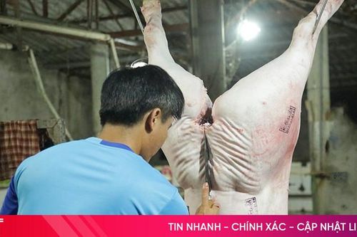 Thị trường giảm sâu, các lò giết mổ gia súc Hà Tĩnh 'lao đao'