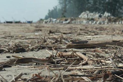 Rác dạt kín bãi biển Hà Tĩnh bốc mùi hôi thối, gây ô nhiễm môi trường