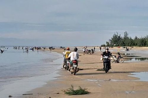 Ruốc về bờ dày đặc, hàng trăm người dân ra bãi biển vớt thu tiền triệu