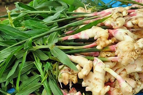 Loại củ giá rẻ tốt như nhân sâm, bán rất nhiều ở chợ Việt, gặp phải mua ngay