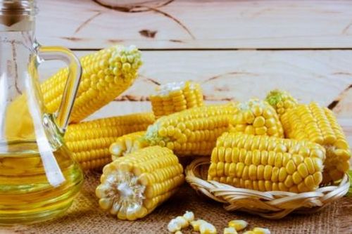 Cuộc chiến thị phần: Đường lỏng HFCS lấn át đường mía
