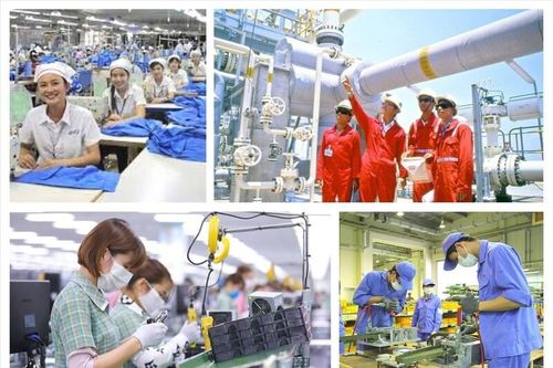 Phó Tổng thư ký VCCI: Doanh nghiệp là trung tâm, chủ thể kiến tạo phát triển