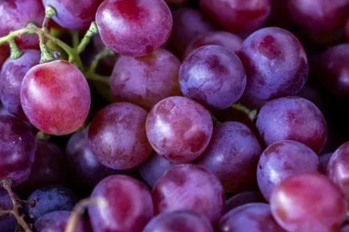 Công dụng ít biết của lớp phấn trắng trên quả nho