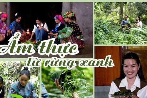 Ẩm thực từ rừng xanh