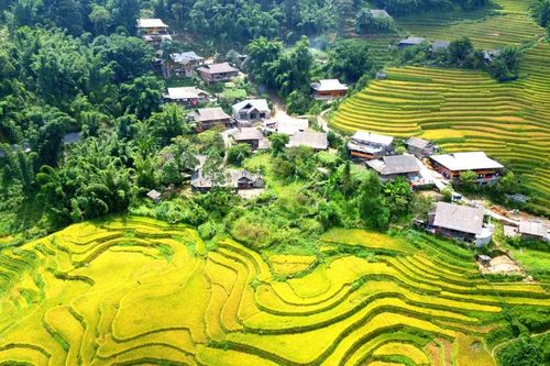Ý Lình Hồ - bản làng xinh đẹp dưới chân núi Hoàng Liên