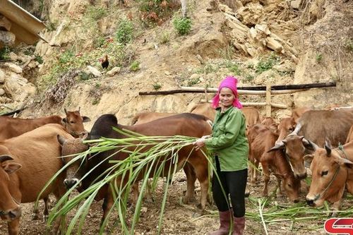Xuân Nha nỗ lực xây dựng nông thôn mới