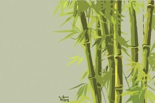Rặng tre xanh mát