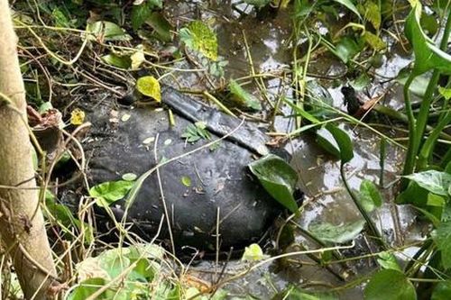 Lời khai ban đầu của nghi phạm sát hại người phụ nữ, ném xác xuống kênh phi tang