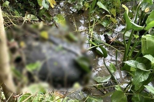 Vụ sát hại người tình, phi tang xác ở Tây Ninh: Lời khai ban đầu của nghi phạm, hé lộ bi kịch kinh hoàng
