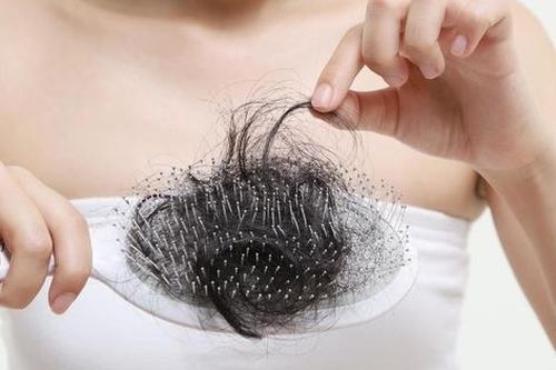 Tóc rụng nhiều khi tắm gội có bất thường?