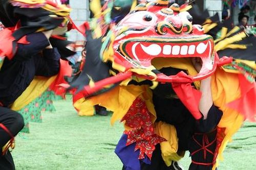 Độc đáo màn múa Sư tử mèo
