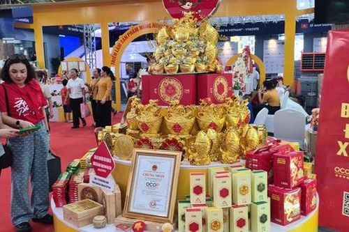 Hải Phòng tổ chức đưa đón người dân tham quan Triển lãm A80