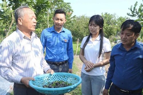 Người dân Đại Xuyên làm giàu nhờ nuôi con đặc sản