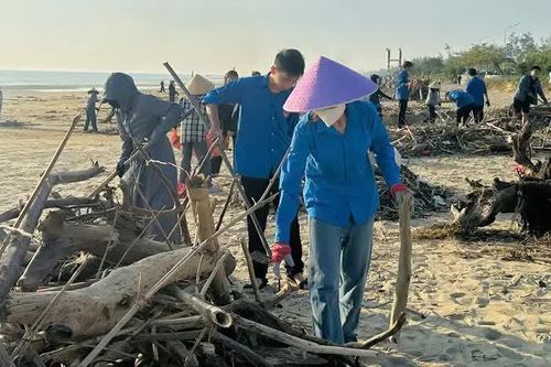 Hà Tĩnh: ra quân thu gom rác, làm sạch bãi biển sau mưa bão