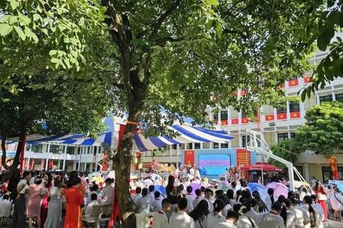 Trường Khương Hạ: Sai phạm tài chính, nghi vấn giả mạo chứng từ và yêu cầu khôi phục niềm tin