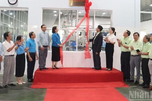 Gắn biển công trình chào mừng Đại hội đại biểu Đảng bộ tỉnh Quảng Ngãi lần thứ nhất