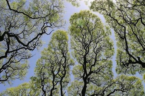 Khi họ 'xâm phạm' đến chúng ta