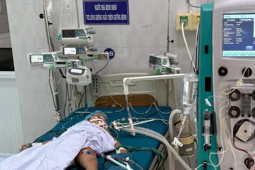 Bị ong đốt trong lúc chơi, một bé tử vong, một trường hợp nguy kịch