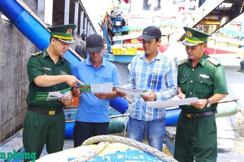 Quyết tâm cao, hành động quyết liệt để chống khai thác thủy sản trái phép