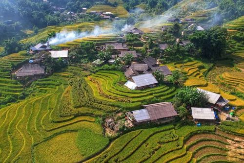 Lúa chín vàng, thơm ngát ở ngôi làng Việt đẹp nhất châu Á