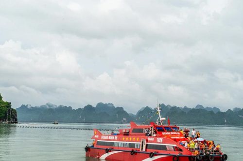 Quảng Ninh tạm dừng cấp phép cho tàu chở khách, tàu du lịch ra biển