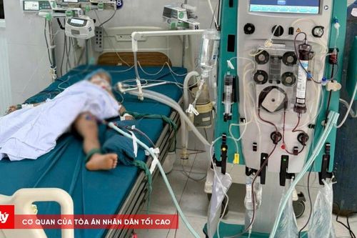 3 cháu bé thương vong sau khi bị ong vò vẽ đốt
