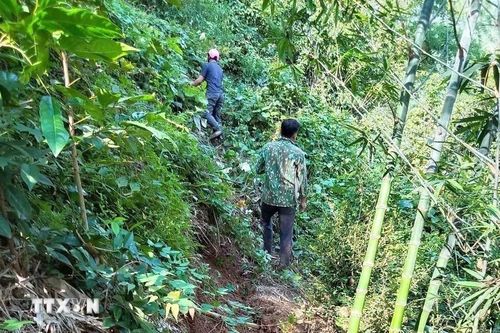 Nghệ An: Khẩn cấp sơ tán người dân bản Lở sau khi xuất hiện vết nứt lớn