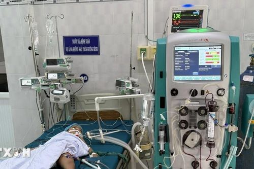 Gia Lai: Ba trẻ nhỏ bị ong vò vẽ đốt, một trường hợp tử vong