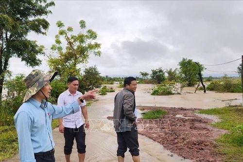 Mưa lớn gây thiệt hại đối với sản xuất nông nghiệp ở Đắk Lắk