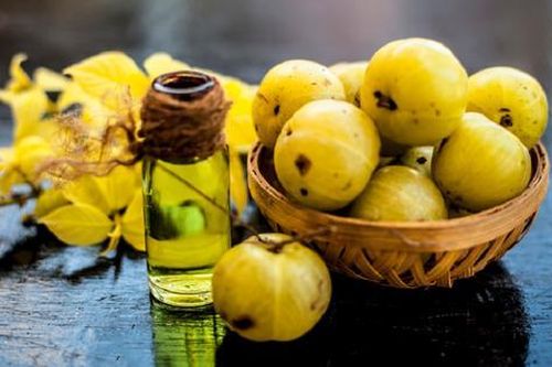 Loại quả dại xưa rụng đầy gốc, nhặt về chế biến kiểu này 'hái ra tiền' nửa triệu/kg