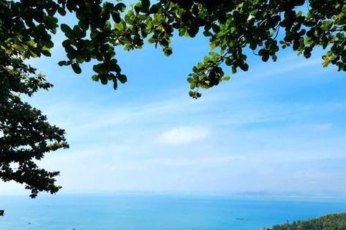 Gia Lai điều chỉnh chủ trương đầu tư dự án du lịch tại xã đảo Nhơn Châu