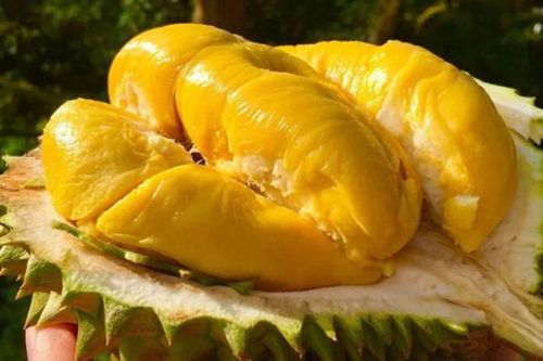 5 đặc sản Việt bị chê 'quê mùa' trong nước, ra nước ngoài thành cực phẩm