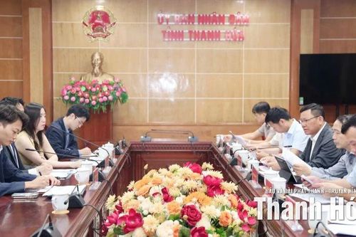 Phó Chủ tịch Thường trực UBND tỉnh Nguyễn Văn Thi làm việc với doanh nghiệp Nhật Bản về Dự án Nhà máy nhiệt điện LNG Nghi Sơn