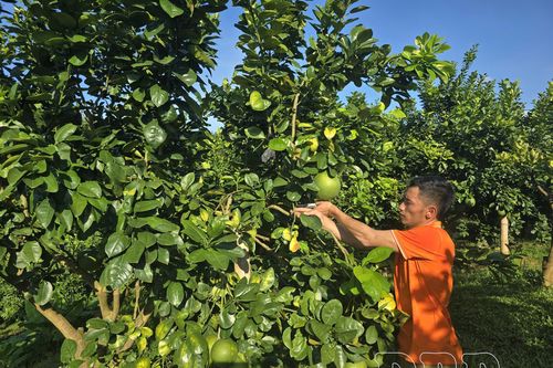Đẩy mạnh cải cách, thu hút vốn đầu tư