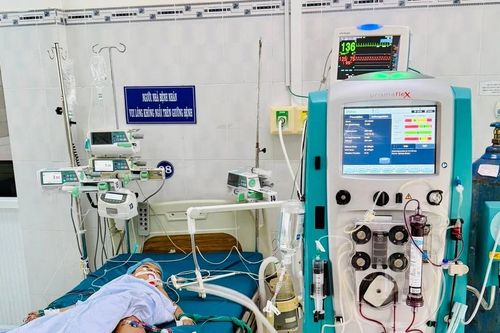 Khẩn cấp khoanh vùng, xử lý tổ ong vò vẽ đốt 1 cháu bé tử vong