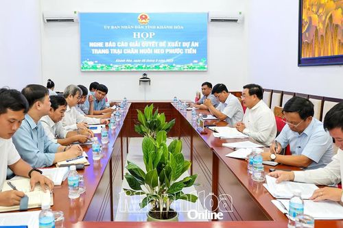 Rà soát lại đất đai khu vực đề xuất triển khai dự án Trang trại chăn nuôi heo Phước Tiến