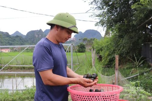 Thiện Tân làm giàu từ ốc