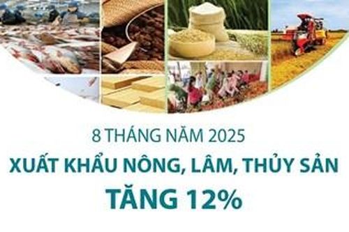 Xuất khẩu nông, lâm, thủy sản 8 tháng năm 2025 tăng 12%