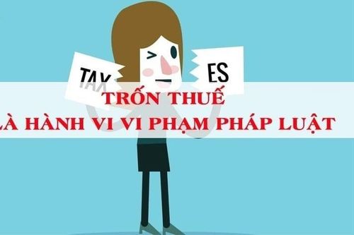 Trốn thuế hàng trăm triệu đồng từ nguồn thu quảng cáo Youtube