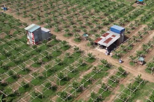 Hà Nội siết chặt quản lý đất nông nghiệp