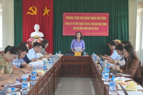 Thường trực HĐND tỉnh khảo sát thực hiện chính quyền địa phương 2 cấp tại xã Cô Ba